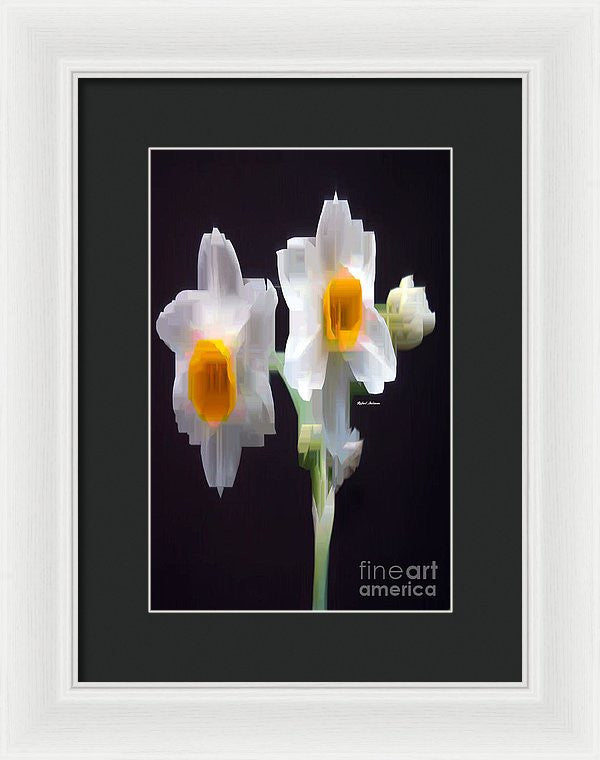 Framed Print - White And Yellow Flower