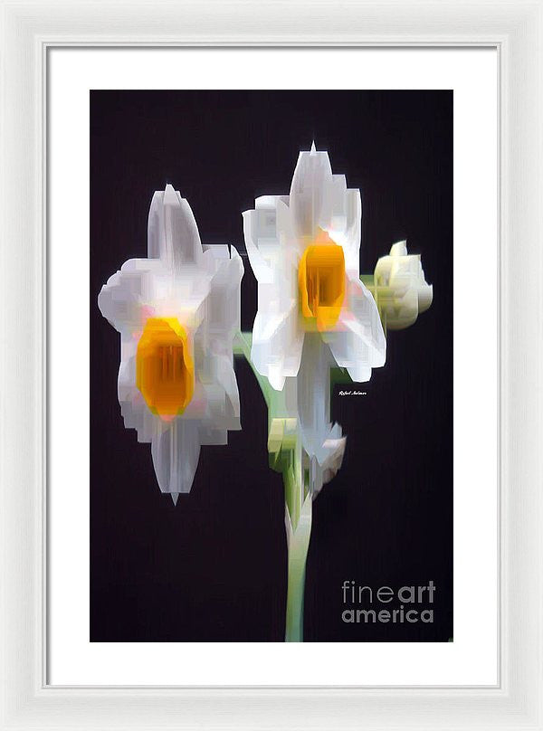 Framed Print - White And Yellow Flower