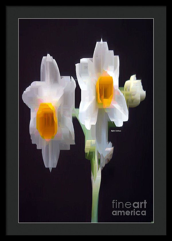 Framed Print - White And Yellow Flower