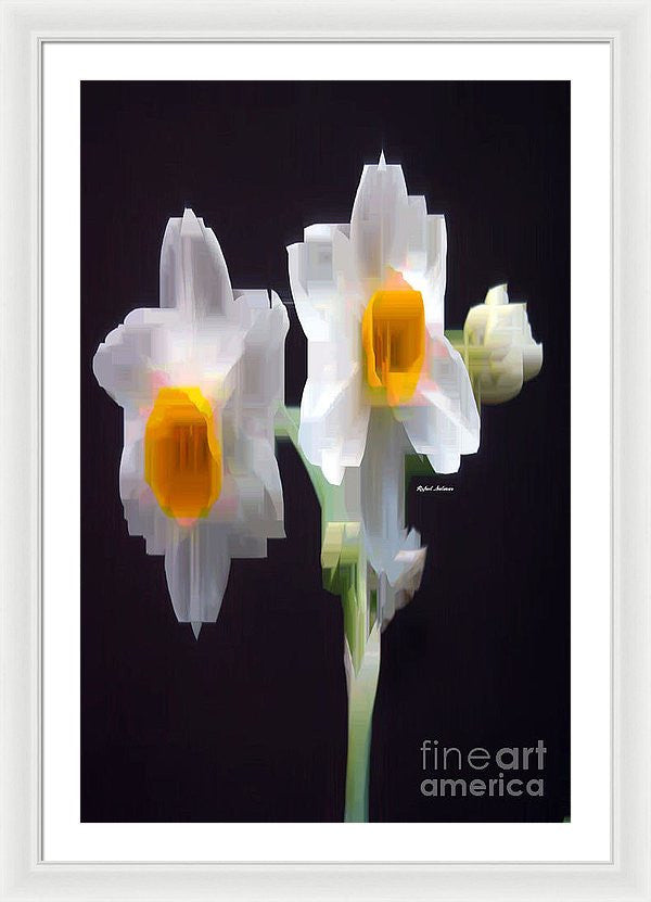 Framed Print - White And Yellow Flower