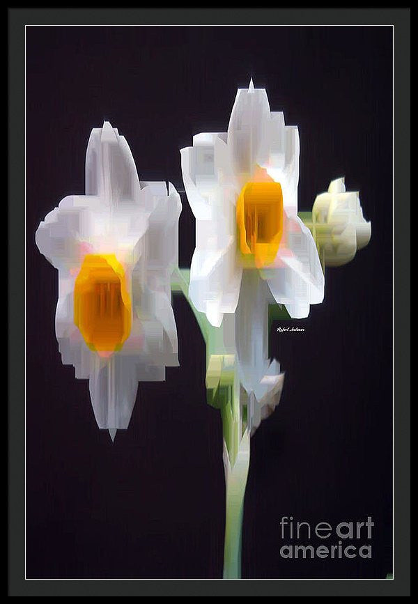 Framed Print - White And Yellow Flower