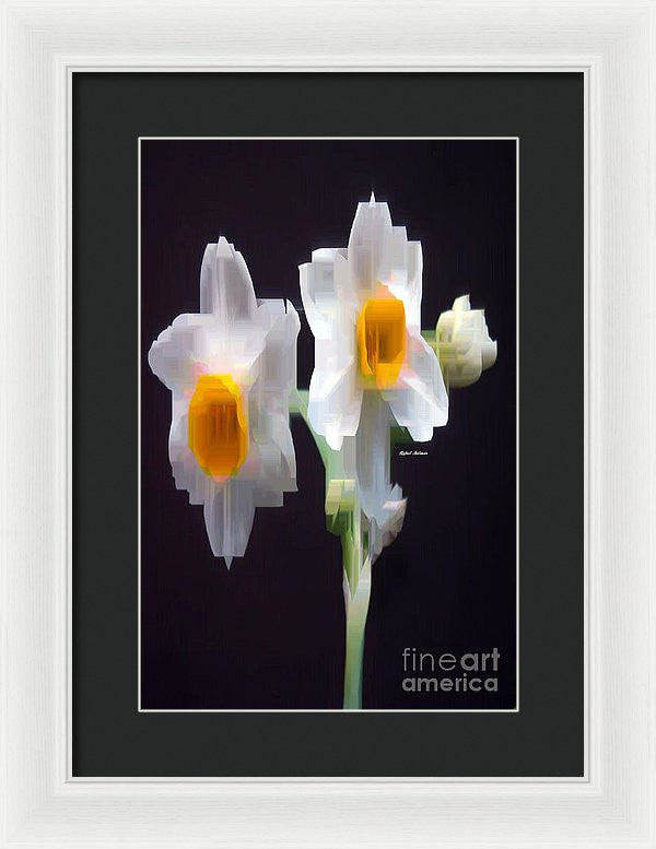 Framed Print - White And Yellow Flower