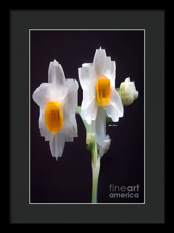 Framed Print - White And Yellow Flower