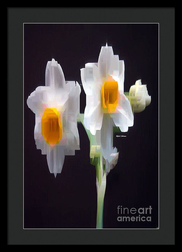 Framed Print - White And Yellow Flower